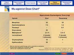 advances in opioid analgesia maximizing benefit while