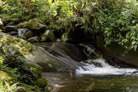 The park shares its name with the bairros (neighborhoods) of tijuca and barra da tijuca nearby. Small River And Waterfall Between The Itatiaia National Park Rocks In Penedo Rio De Janeiro Stock Photo Picture And Royalty Free Image Image 63041247