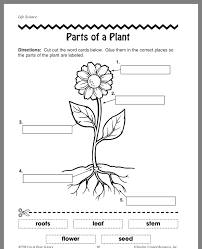 Pin By Ahlam On Plants Worksheets Parts Of A Flower Plants Worksheets Science Worksheets