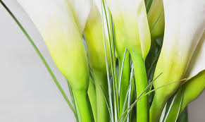 Here, there is a lot of choice in flowers, such as you can get roses, lilies, all types of local flowers. House Cleaning Services Wichita Flower Arrangements