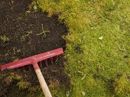 If you're using a dethatching rake, pull the rake toward you, breaking up the brown layer just below the grass leaves. How To Get Rid Of Moss In Your Lawn This Old House