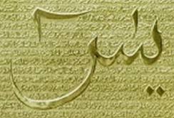 Dinamai ya sin karena surah ini dimulai dengan dua abjad arab ya sin. Teks Bacaan Surat Yasin Arab Latin Dan Terjemahan Indonesia Sejuta Warna