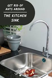 Sometimes, that just happens to be your home. How To Get Rid Of Ants Around The Kitchen Sink Tips Guide Get Rid Of Ants Rid Of Ants Home Remedies For Ants