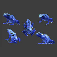 5 Blue Poison Dart Frog Decals
