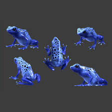 5 Blue Poison Dart Frog Decals