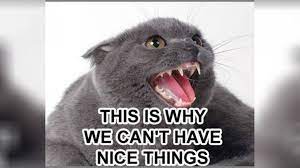We did not find results for: This Is Why We Can T Have Nice Things Know Your Meme