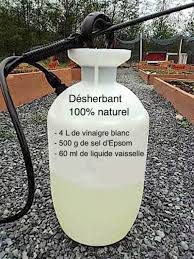 Plus Besoin D Acheter De Desherbant Chimique Utilisez Plutot Ce Desherbant 100 Naturel Desherbant Naturel Desherbant Maison Entretien Jardin