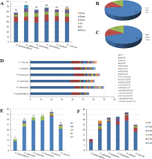 Image result for Polystachya bennettiana