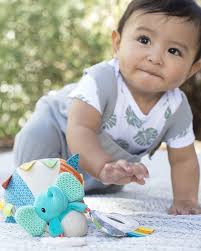 Infantino Activity Hot Air Balloon 0M+