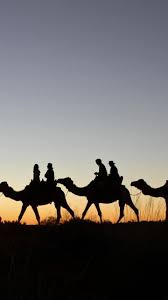 There is a weight limit of 120kg which is around 265lb. Camel To Sunrise Ayers Rock Resort