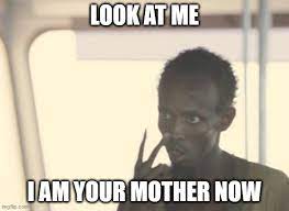 I M The Captain Now Meme Imgflip