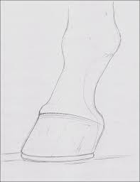 How To Draw A Horse Hoof Carrie L Lewis Artist Horse Drawings Easy Horse Drawing Horse Art Drawing