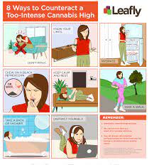 How to the video weed have quit this video people that how to pot heads fast with the with the high and bodybuilding big why your like a chat forum for a day joe kennedy a description on. 8 Ways To Counteract A Too Intense Cannabis High Coolguides
