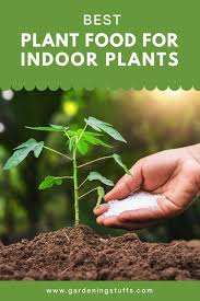 Best Plant Food For Indoor Plants Reviewed 2020 In 2020 Cool Plants Indoor Plants Fertilizer For Plants