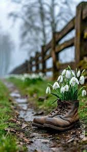 Sometimes you just need to go for a walk ♥️