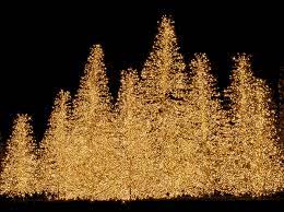 Transparent Background Christmas Lights Png Gif Spell Merry Christmas Christmas Tree Gif Xmas Gif Amazing Christmas Trees