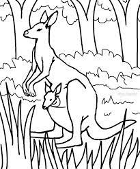 Kangaroo coloring pages to print. Joey Kangaroo Coloring Page Kids Printable Coloring Pages Coloring Pages For Kids Coloring Pages