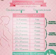 Ele pode reconhecer suas emoções a partir das expressões faciais e do tom de sua. 22 Semanas Sao Quantos Meses Janeiro De 2017 Babycenter