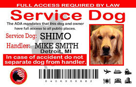 Service Dog Card Template Elegant Service Dog Certification Of America Certify My Dog In 2020 Service Dogs Service Dog Patches Emotional Support Dog