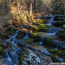 Virginia Hikes Wilson Mountain Trail Amp Sprouts Run Trail Loop March 4 2018 Hiking In Virginia Mountain Trails Hiking