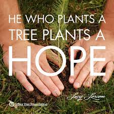 An extensive list of inspirational quotes about gardening and for gardeners, complete with attribution to the original author of the quotes. 150 Quotes Ideas In 2021 Tree Quotes Quotes Nature