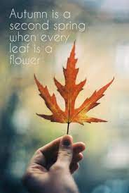 Hello October Motivational Quotes Fun Facts And Famous Quotes Autumn Quotes Season Quotes October Quotes