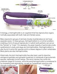 Because many intersex variations are. Bookemon Human Hermaphrodite Reproductive System Book 430496