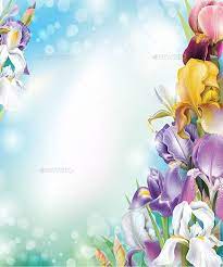 Background With Iris Flowers Iris Flowers Frame Border Design Flower Frame