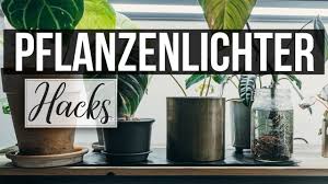Pflanzenlichter Gunstig Selber Bauen Pflanzen Zum Wachsen Bringen Diy Growlights Youtube