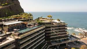 Image result for Saccharum