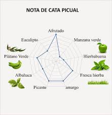 Cata Para Novatos Como Distiguir Un Buen Aove Cata Aceite De Oliva Hierbabuena