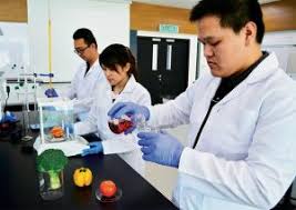 See more ideas about food technology, food science, food. Bachelor Of Food Technology Hons Fees Entry Requirement Apply Now For 2019 Intake Ucts