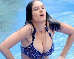 Fugomo on X: Evelyn Sharma Hot Images which will Make You crazy  EvelynSharma HotImages t.col0E5CsPFOr t.cobVKvTRlsgR   X