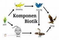 Sebutkan 4 Komponen Biotik