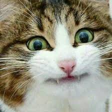 Pengembangan dari pola lantai garis lengkung adalah. Sebutkan Bentuk Pola Lantai Yang Merupakan Pengembangan Dari Bentuk Pola Lantai Garis Lengkung Brainly Co Id