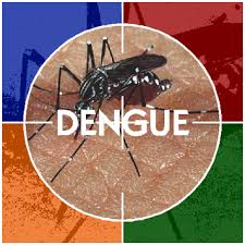 Resultado de imagem para dengue