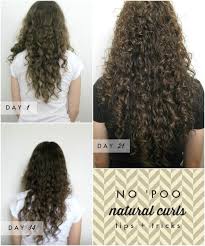 Curly Haired Girl S Testimonial To No Poo Curly Hair Styles Naturally Natural Curls Hairstyles Curly Hair Tips