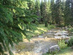 Informatiile despre prognoza meteo pe 15 zile in bacau sunt. Ce Facem In Weekend Transbucegi Padina Pestera Ialomitei