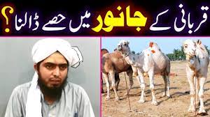 Tell us how to get in touch with you Qurbani Ke Janwar Camel Cow Mein 7 Hisse Ya 10 Hisse Sunnat Engineer Muhammad Ali Mirza Youtube