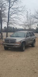 Image result for Light Driftwood 1998 Durango