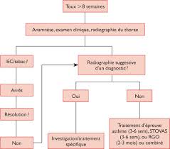 Bronchite asthmatiforme arret de travail. Toux Chronique De L Adulte Evaluation Et Prise En Charge
