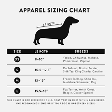 24 abiding cavalier king charles spaniel weight chart