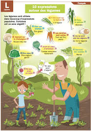 Playbac Presse Digital Expressions Francaises Expressions Fle