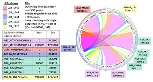 There are laws and policies that serve to protect the privacy of individuals' genomic information. Ijms Free Full Text Comparative Genomics Insights On The Pathogenicity And Lifestyle Of Rhizoctonia Solani Html