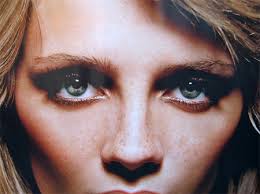 what about the plastic animals?: