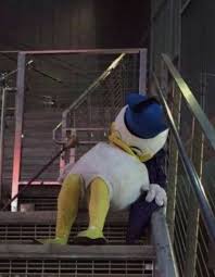 Pin By Sofia Zart On Mood Mood Pics Cute Memes Stupid Funny Memes