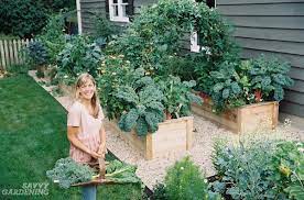 Home kew gardens what's in the gardens kitchen garden. Kitchen Garden Basics How To Start Growing Food Today