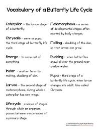 Butterfly Life Cycle Vocabulary Primarylearning Org Butterfly Life Cycle Life Cycles Vocabulary Worksheets