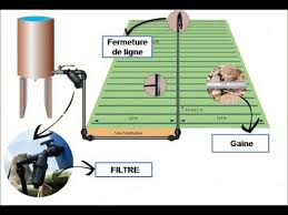Check spelling or type a new query. Epingle Sur Jardin Potager