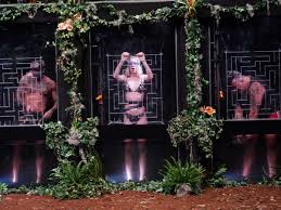 Het lot van de kandidaten lag volledig tijdens de laatste liveshow, waarop alle deelnemers aanwezig waren, kwamen we te weten wie er de winnaar is van big brother 2021. Dschungelcamp 2021 Rtl Erste Bilder Zeigen Wirklich Krasse Sachen Damit Haben Fans Nicht Gerechnet Tv